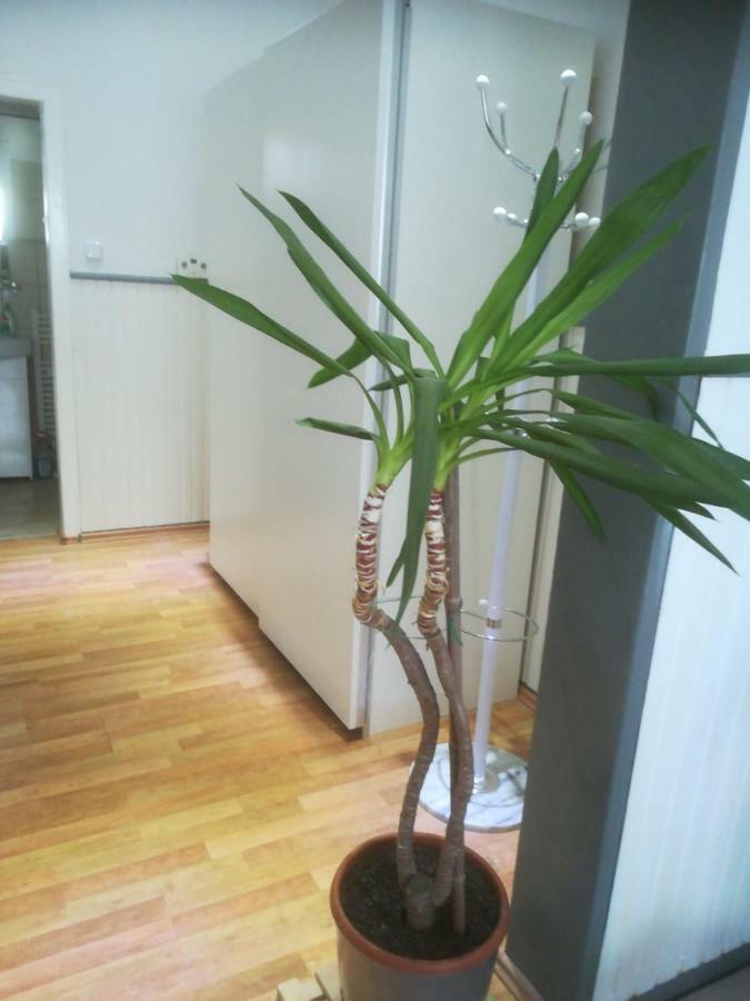 Zentral Gelegene Wohnung In Velbert-Mitte المظهر الخارجي الصورة